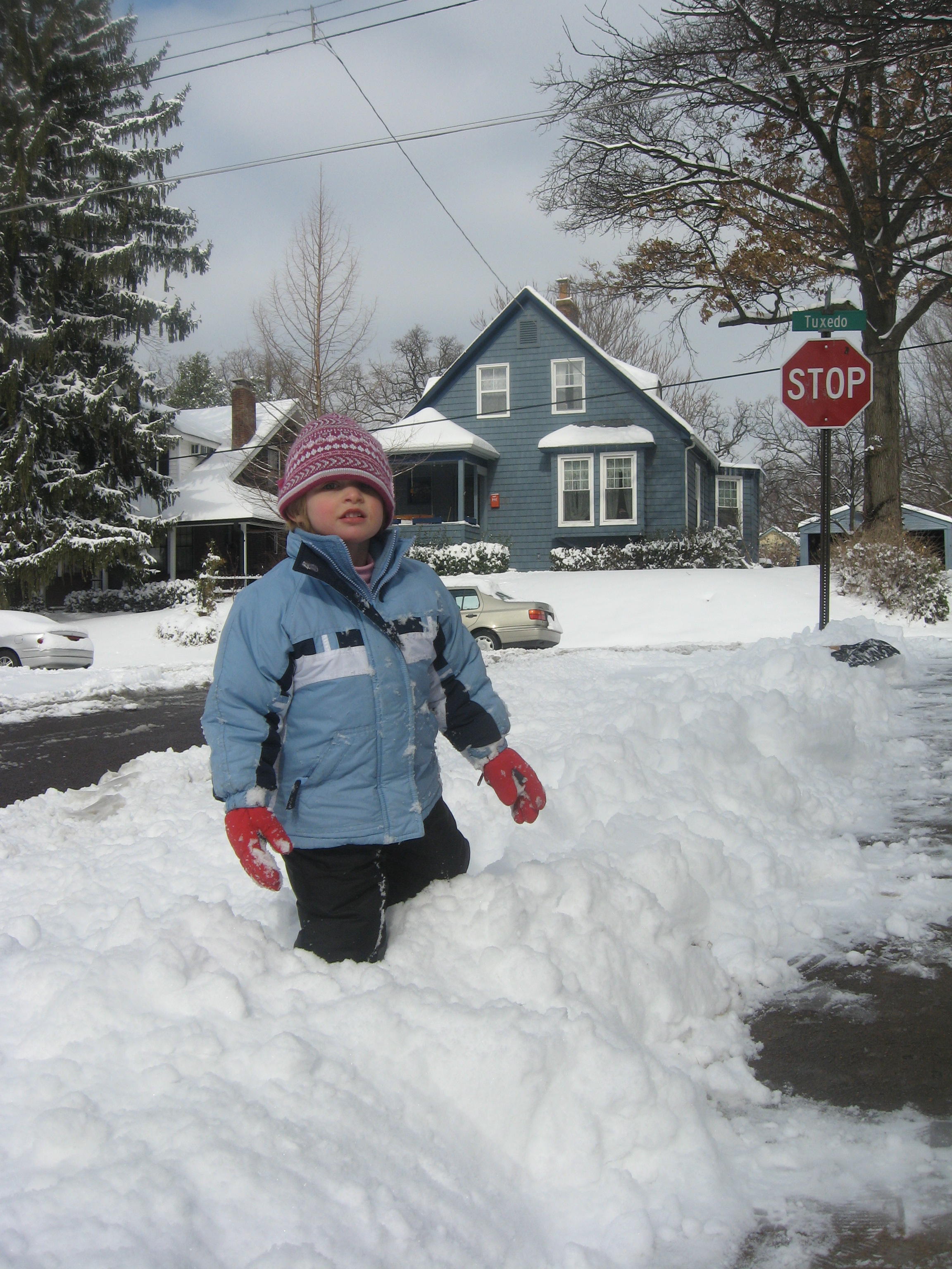 2008_02_01 Snow Day Cate in a drift.jpg